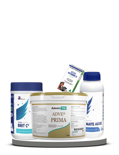 Best veterinary medicine suppliers in UAE