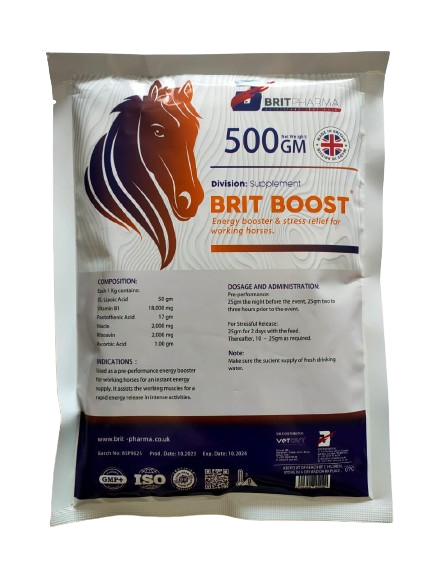 WhatsApp_Image_2024-03-05_at_1.19.16_PM-removebg-preview