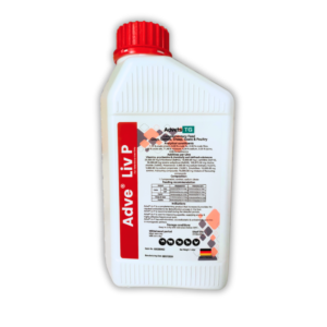 Adve Liv P Complementary Feed for Camels