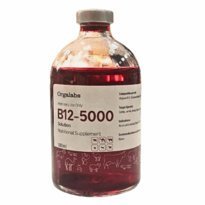 B12-5000 Injection