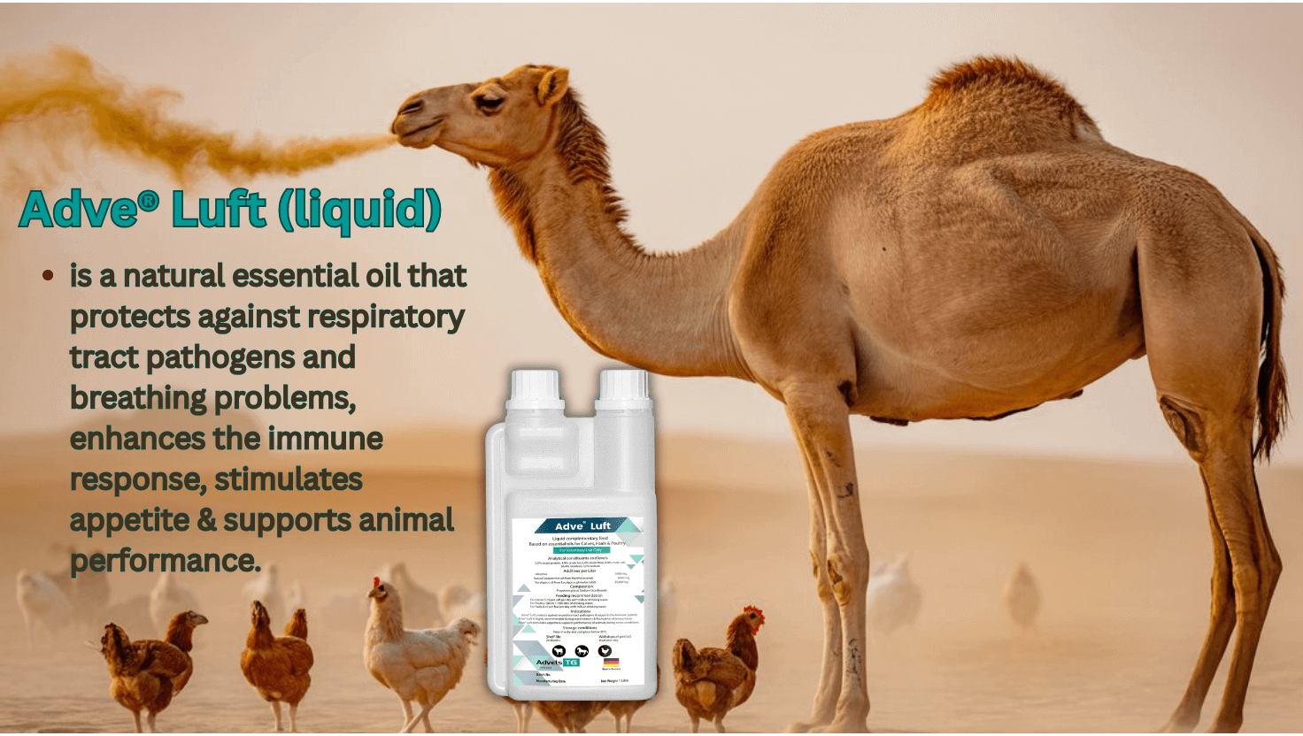 natural respiratory supplement for camels