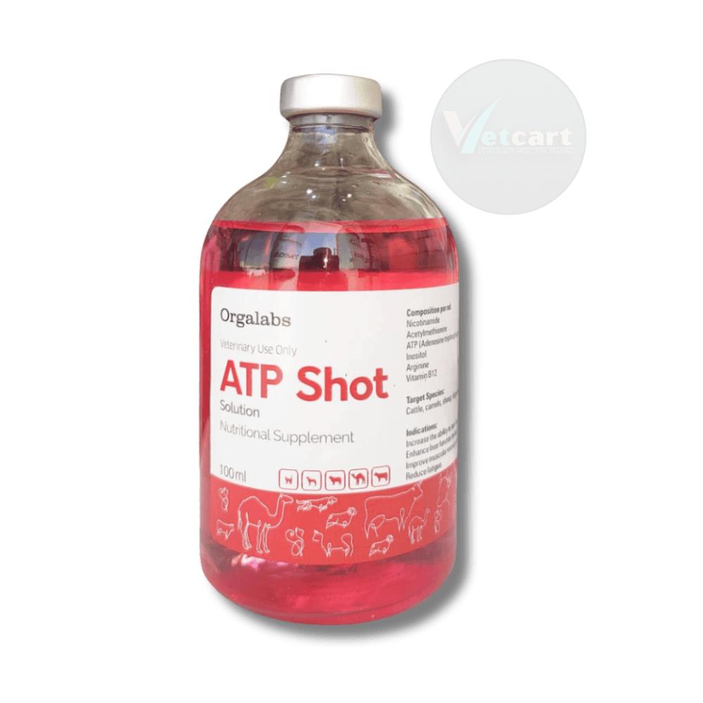 ATP Shot Solution